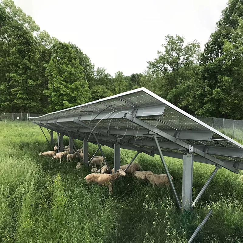 Panel solar untuk ladang: Membantu kelestarian tenaga pertanian ke tahap yang lebih tinggi!